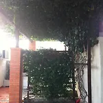 Ela Neum