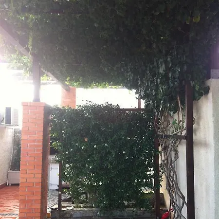 Ela Neum
